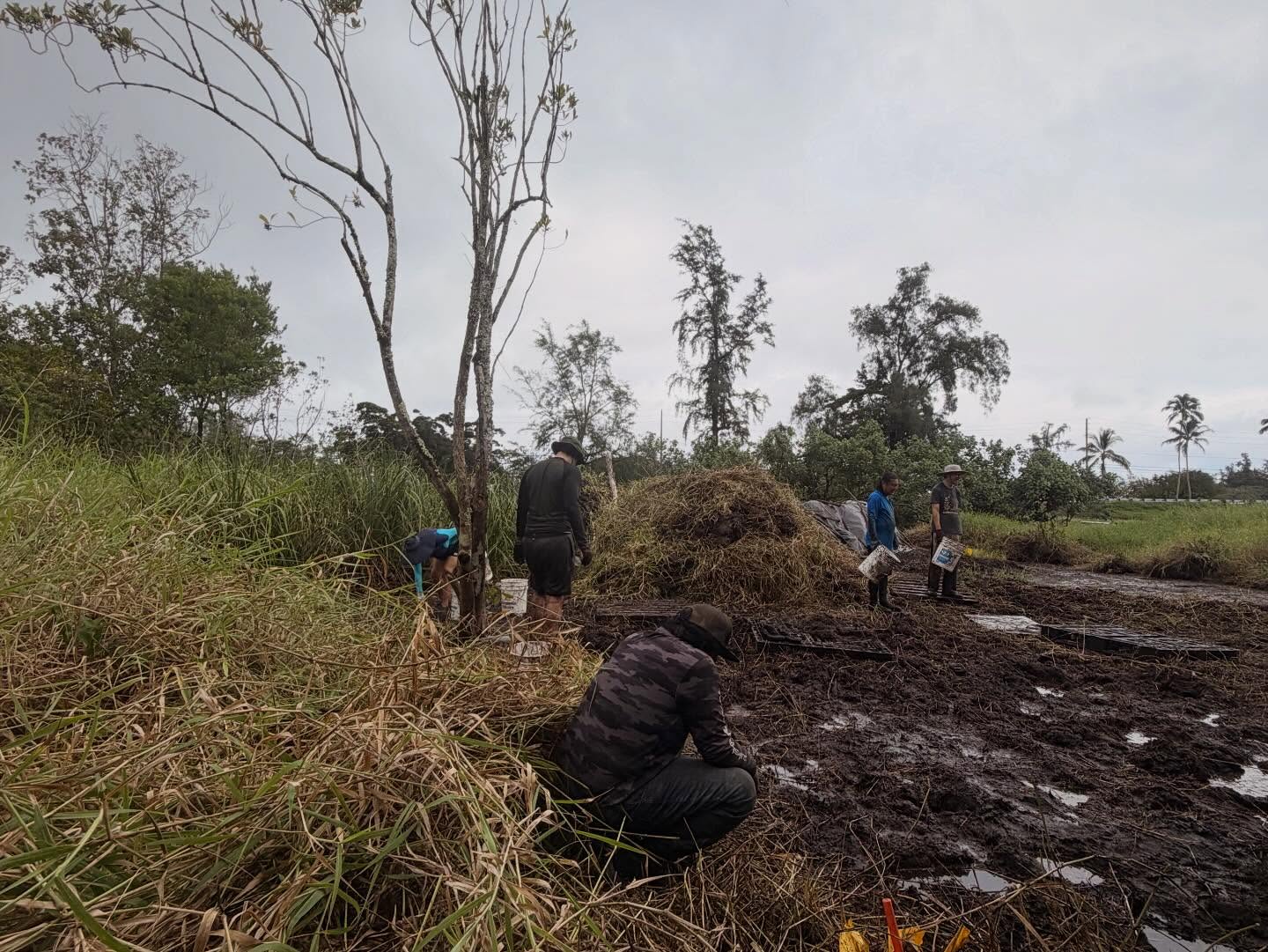 642470919_18039890210773190_4995836538988172805_n