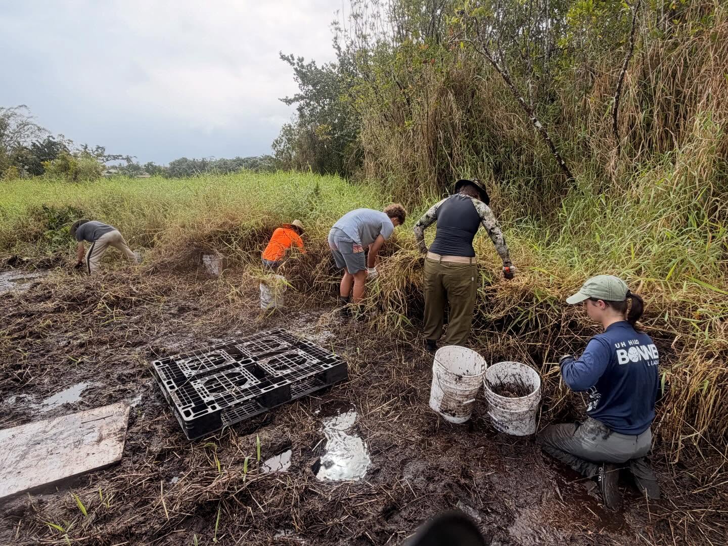 642476367_18039890219773190_3336634315957351800_n