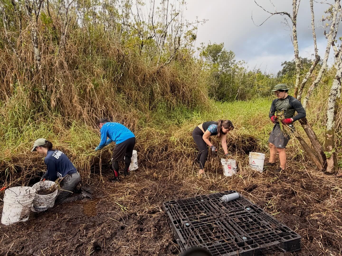 642488356_18039890192773190_6279043333922682681_n