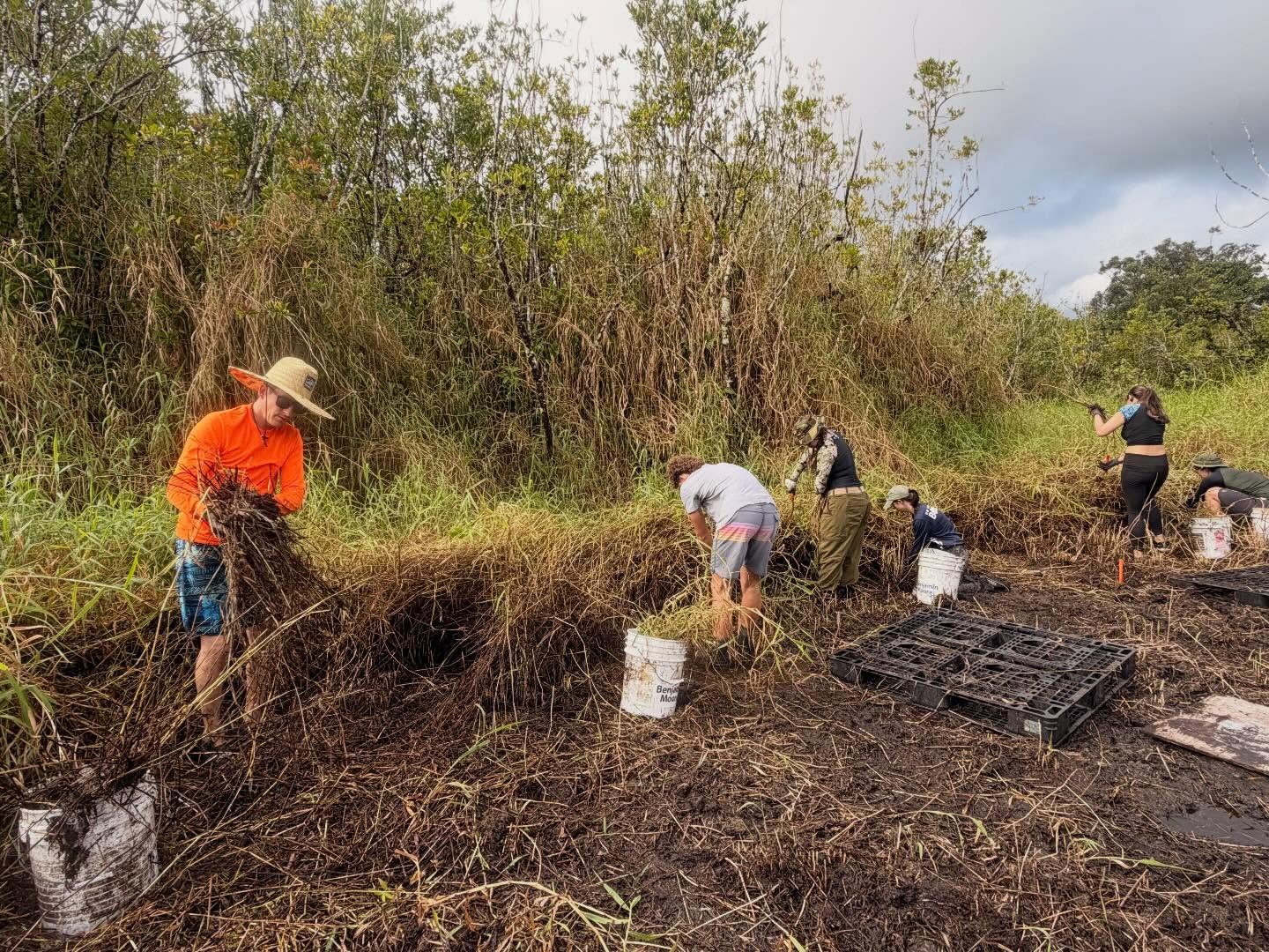 642520392_18039890201773190_6369615404511100794_n