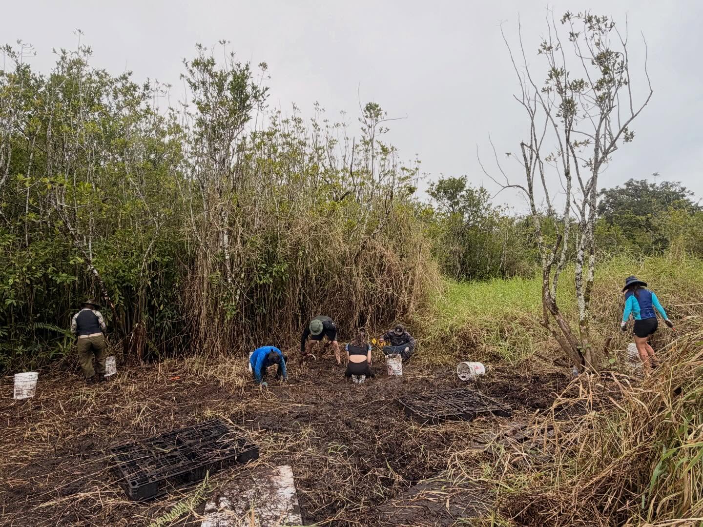 643565914_18039890285773190_2630511722814241344_n