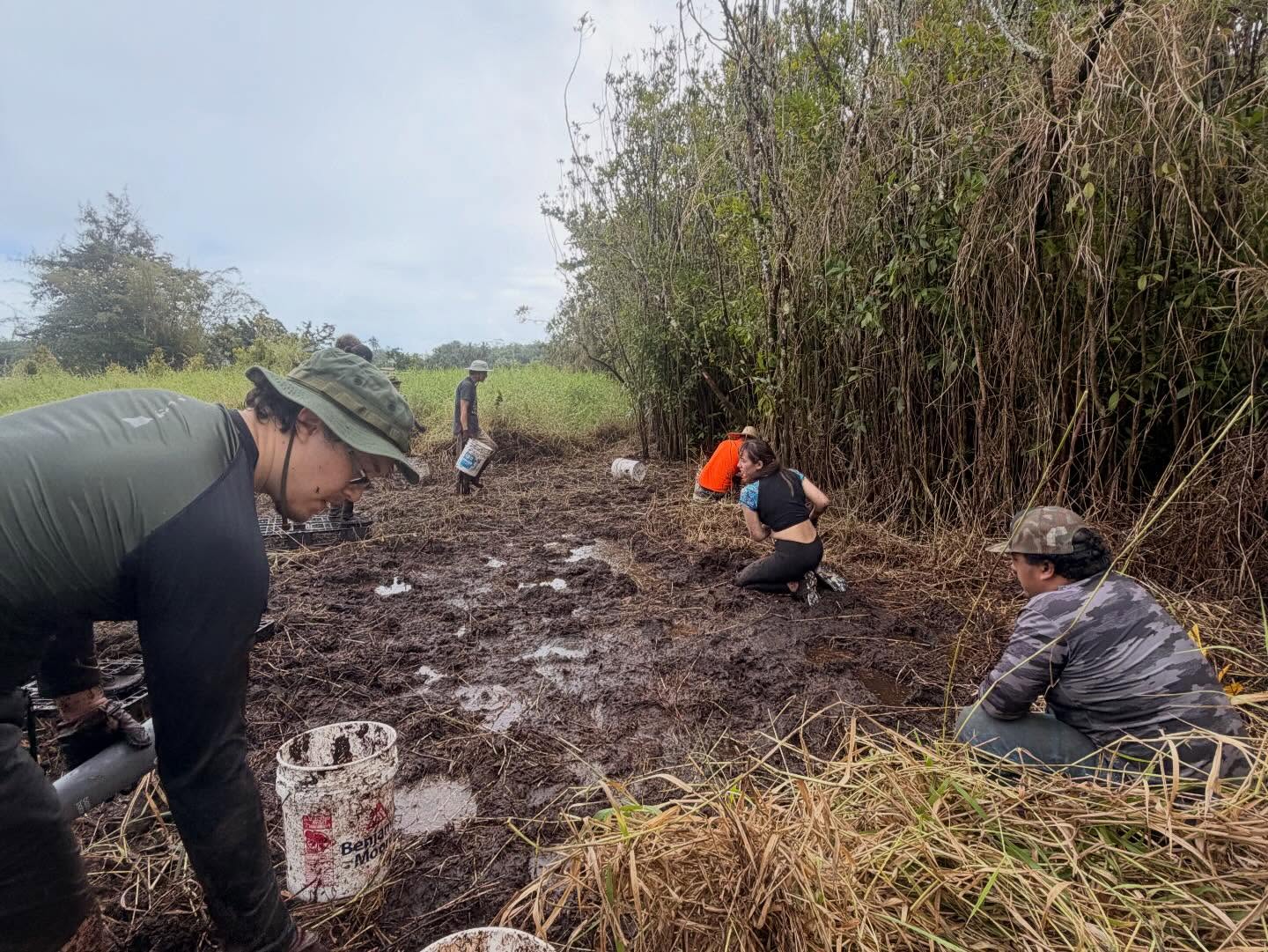 645479443_18039890237773190_3381437823810397751_n