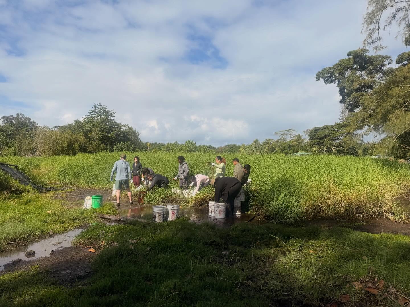 648151297_18041010695773190_8759967457867166865_n