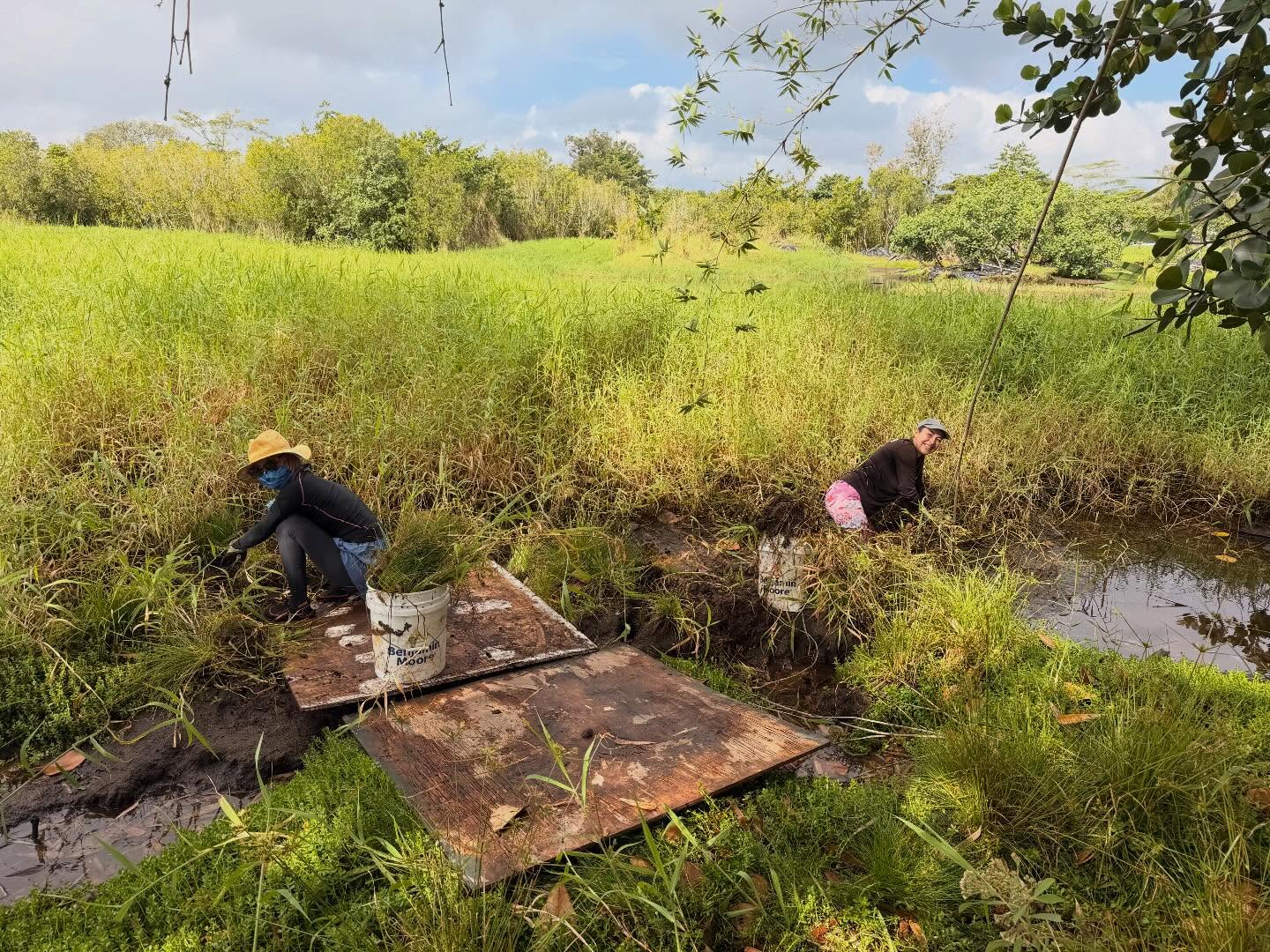 648296732_18040725560773190_5609721748377621206_n