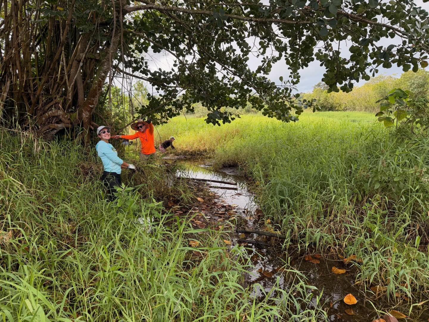 648933421_18040725533773190_1348988200032478956_n