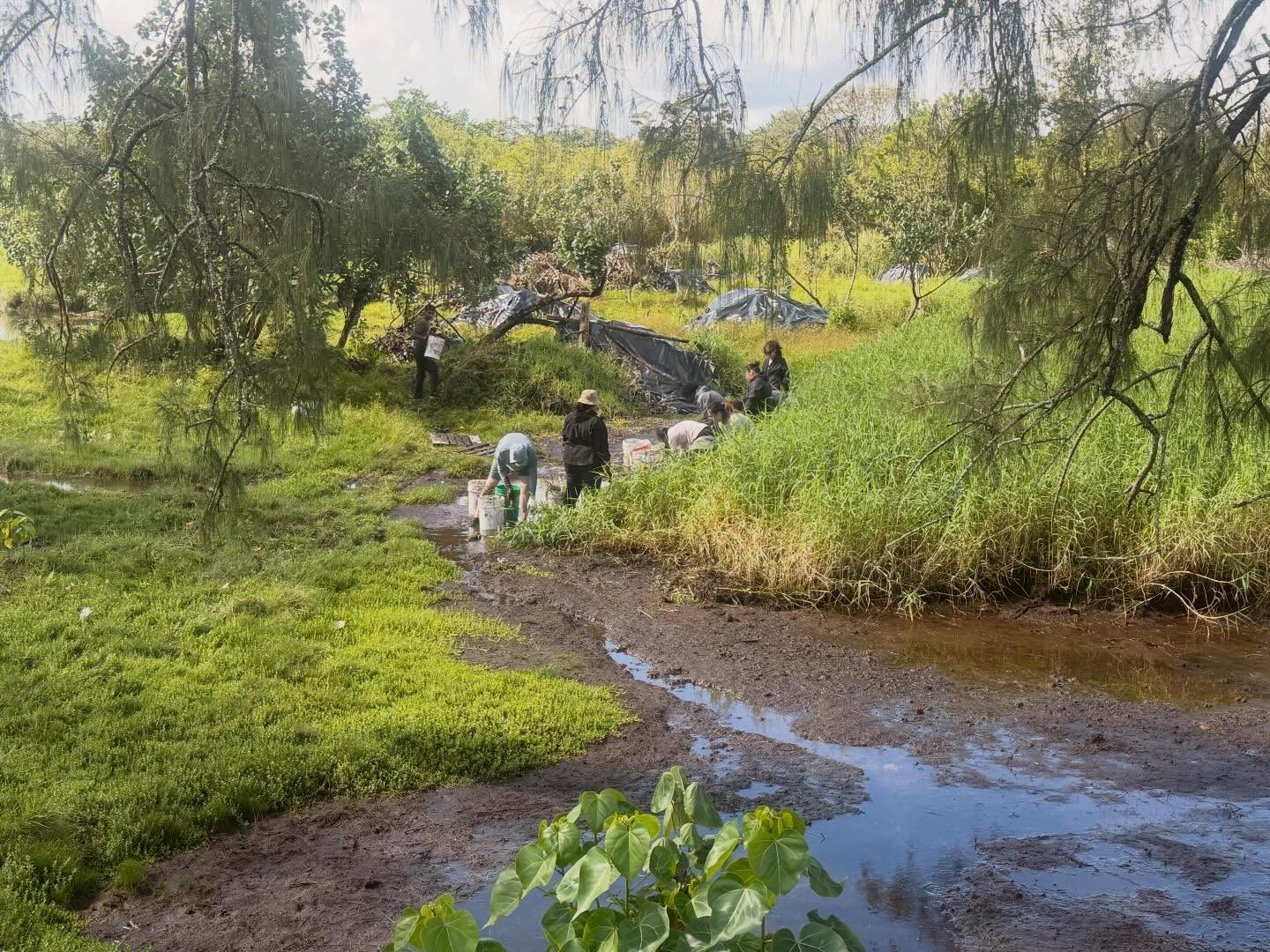 649117780_18041010725773190_9120508109233681463_n