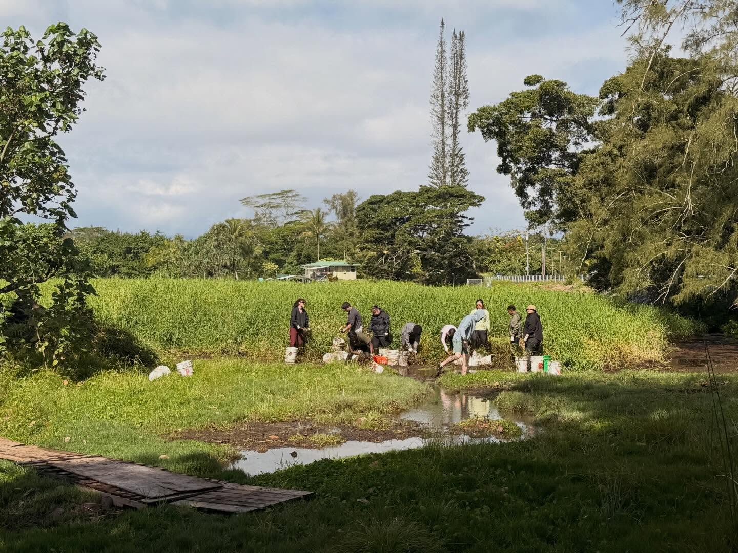 649202401_18041010743773190_975099483242304509_n