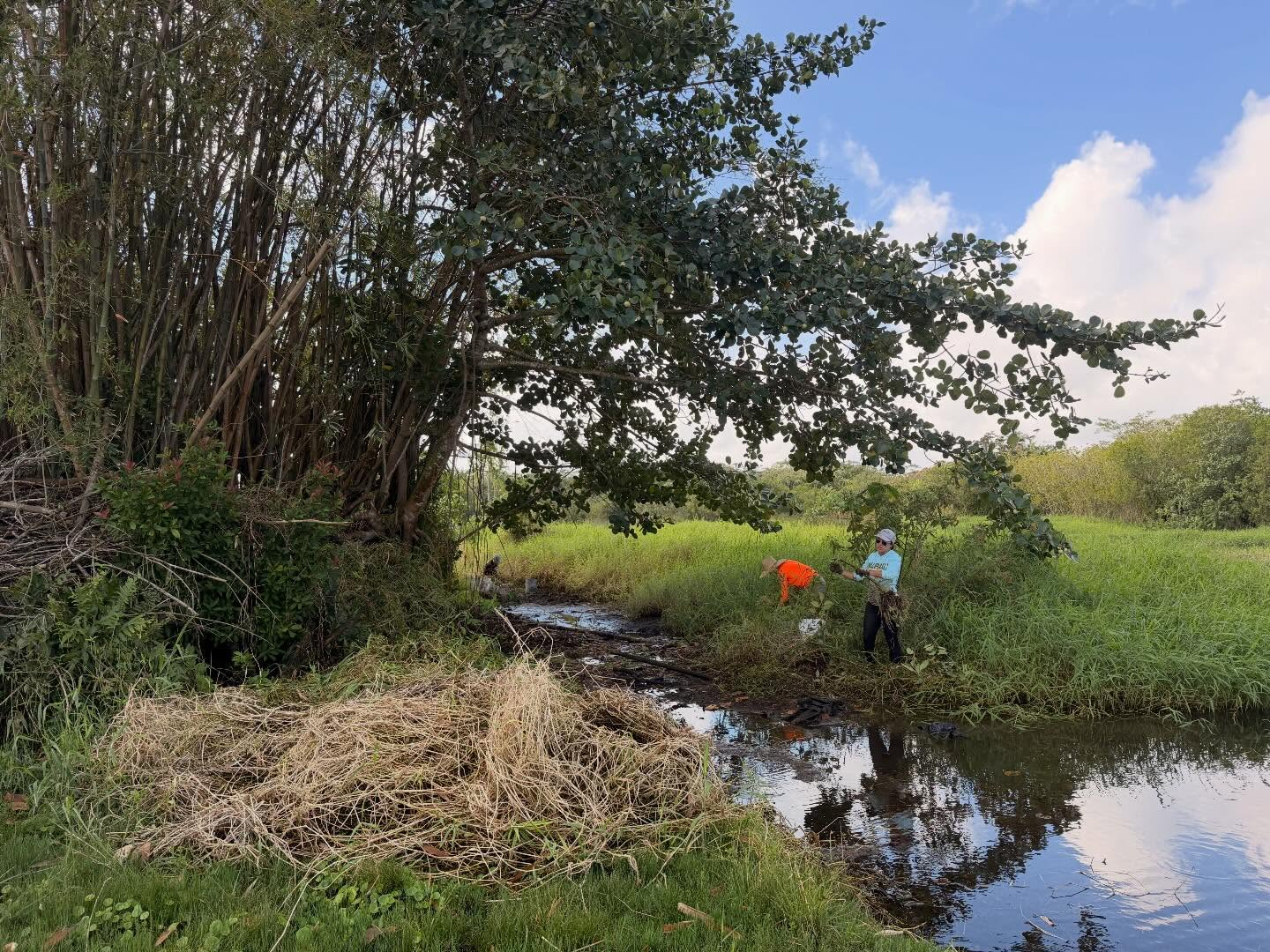 649219153_18040725656773190_7218521103884926924_n