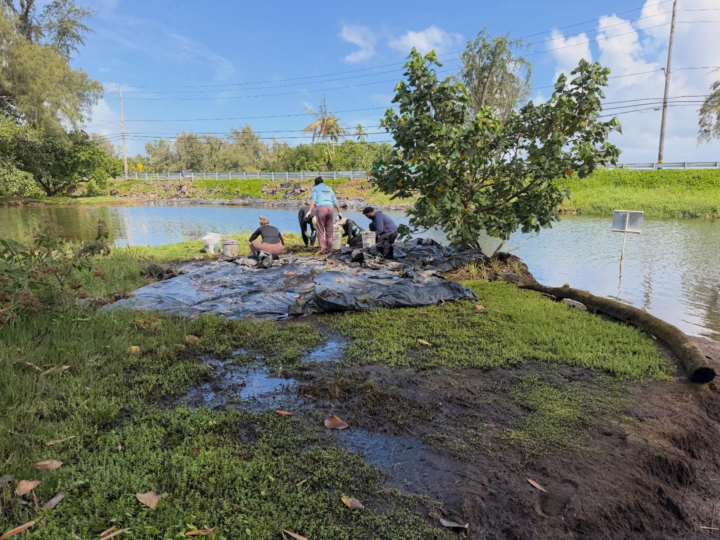 649228226_18040725590773190_7719071064225494323_n