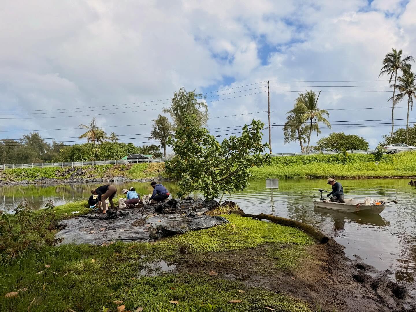 649228951_18040725524773190_8490635773033587256_n