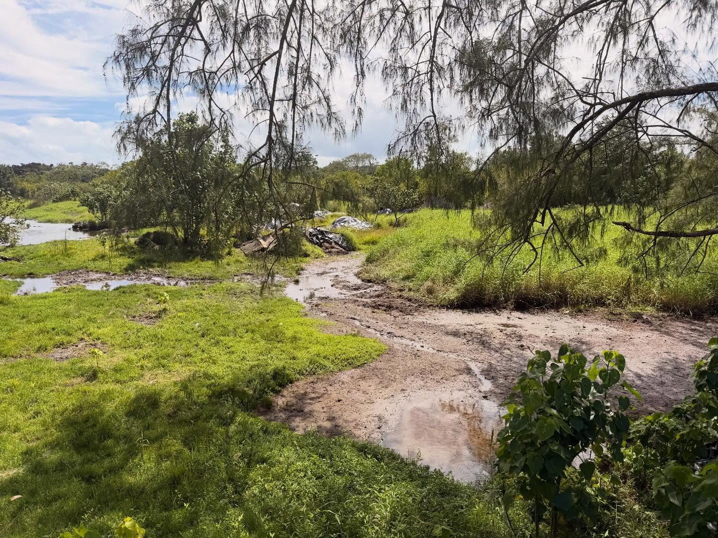 650197636_18041010812773190_882729276860040712_n