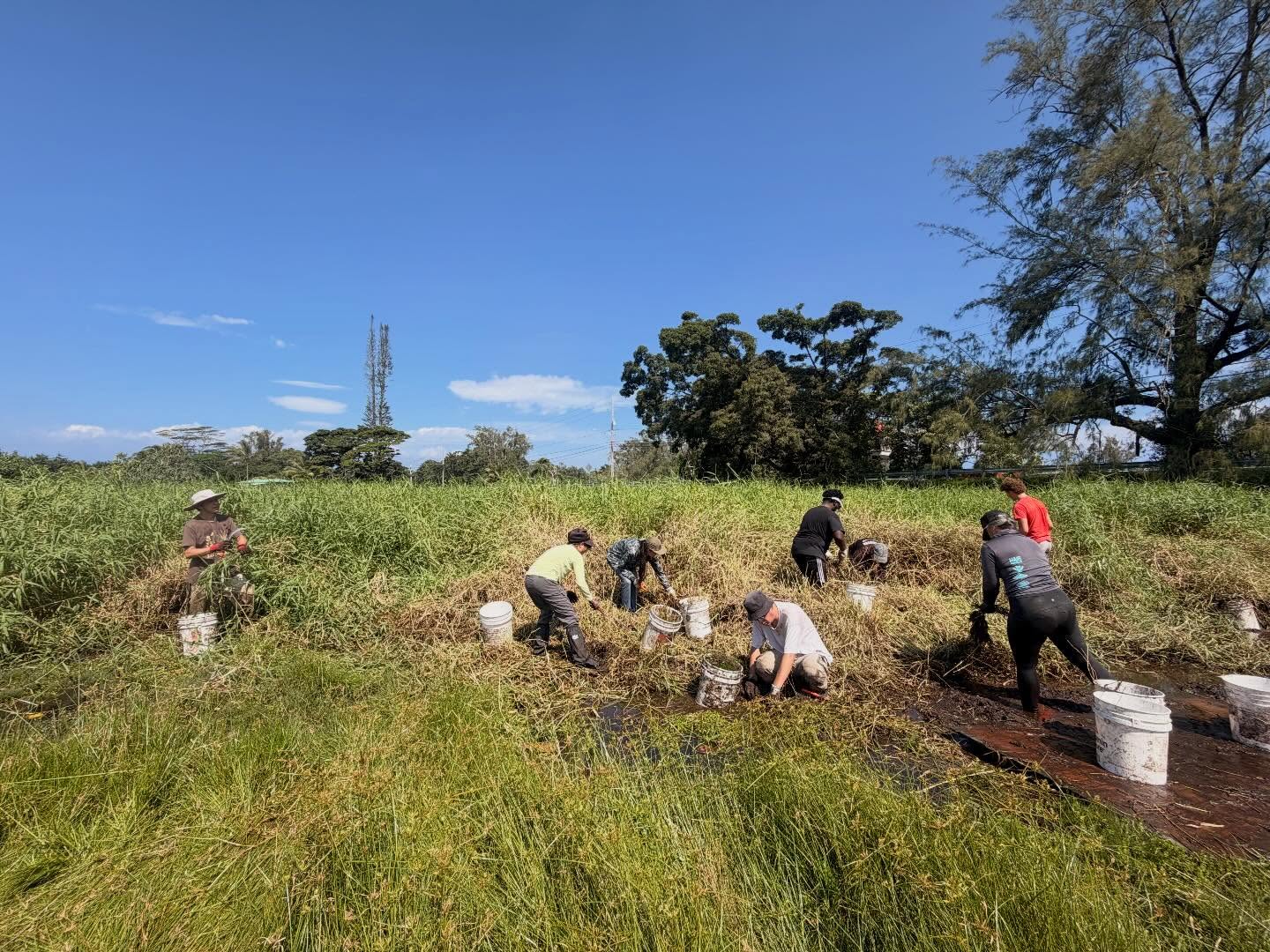 654957274_18042927014773190_7832640382626203481_n