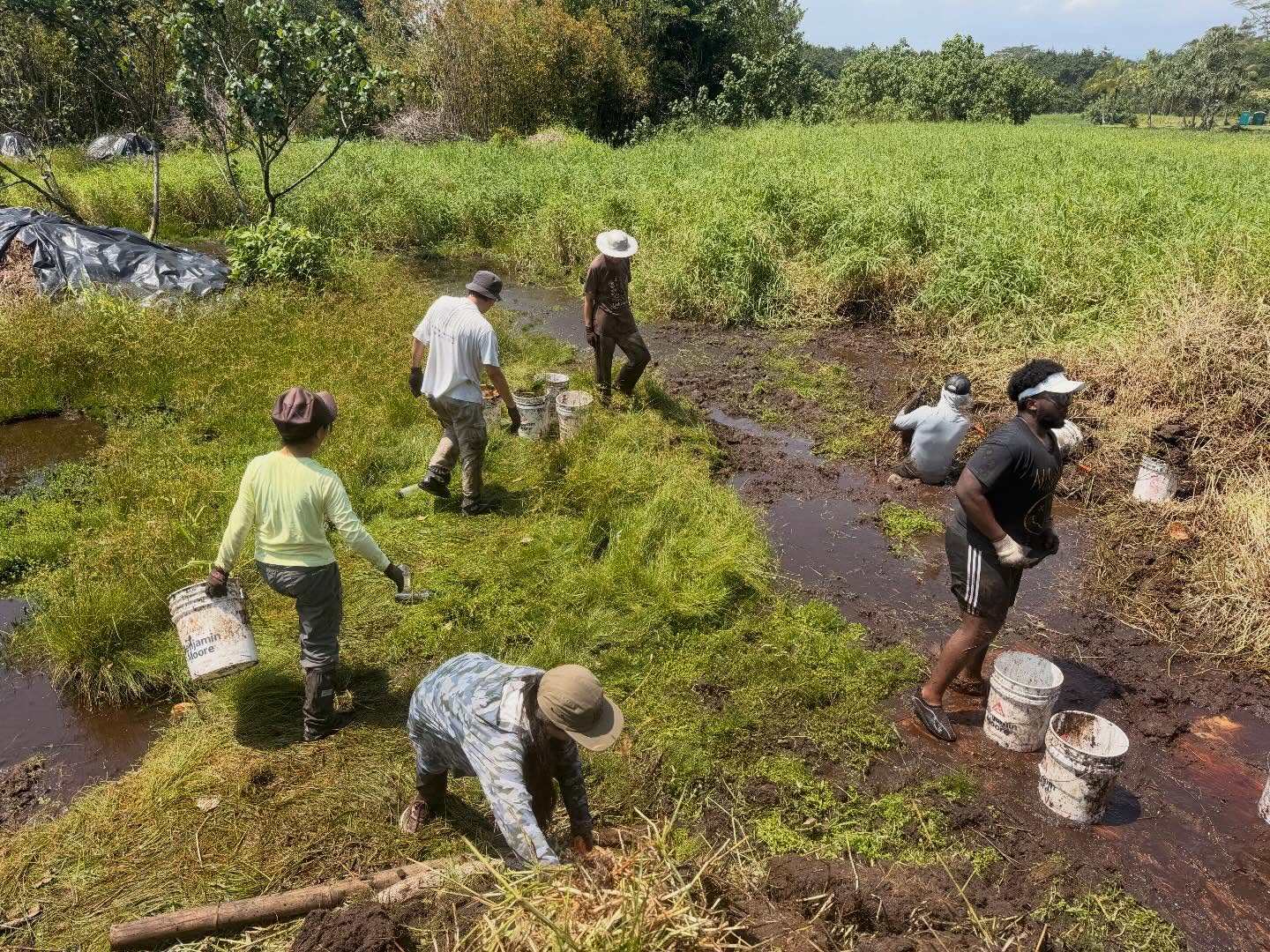 655662628_18042927047773190_2128796115986221106_n