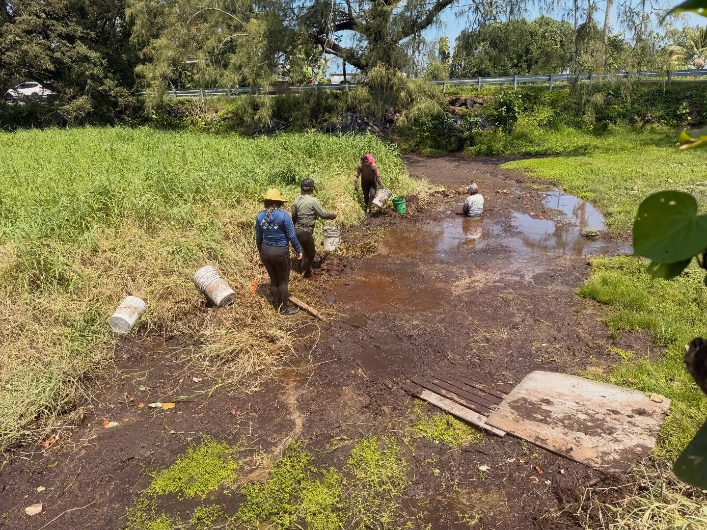 655840977_18042927059773190_4150933082309221107_n