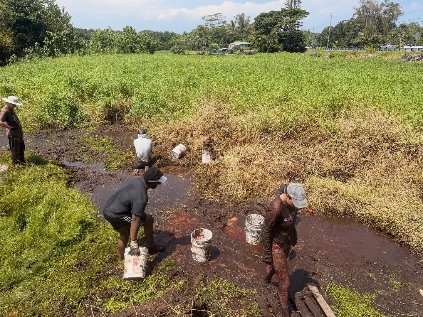 655908363_18042927029773190_316997466827280959_n