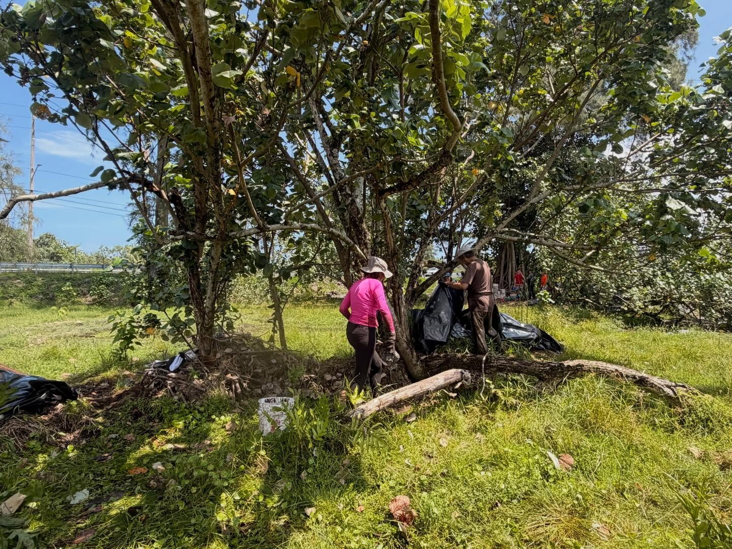 656203024_18042927137773190_7670151298325309133_n