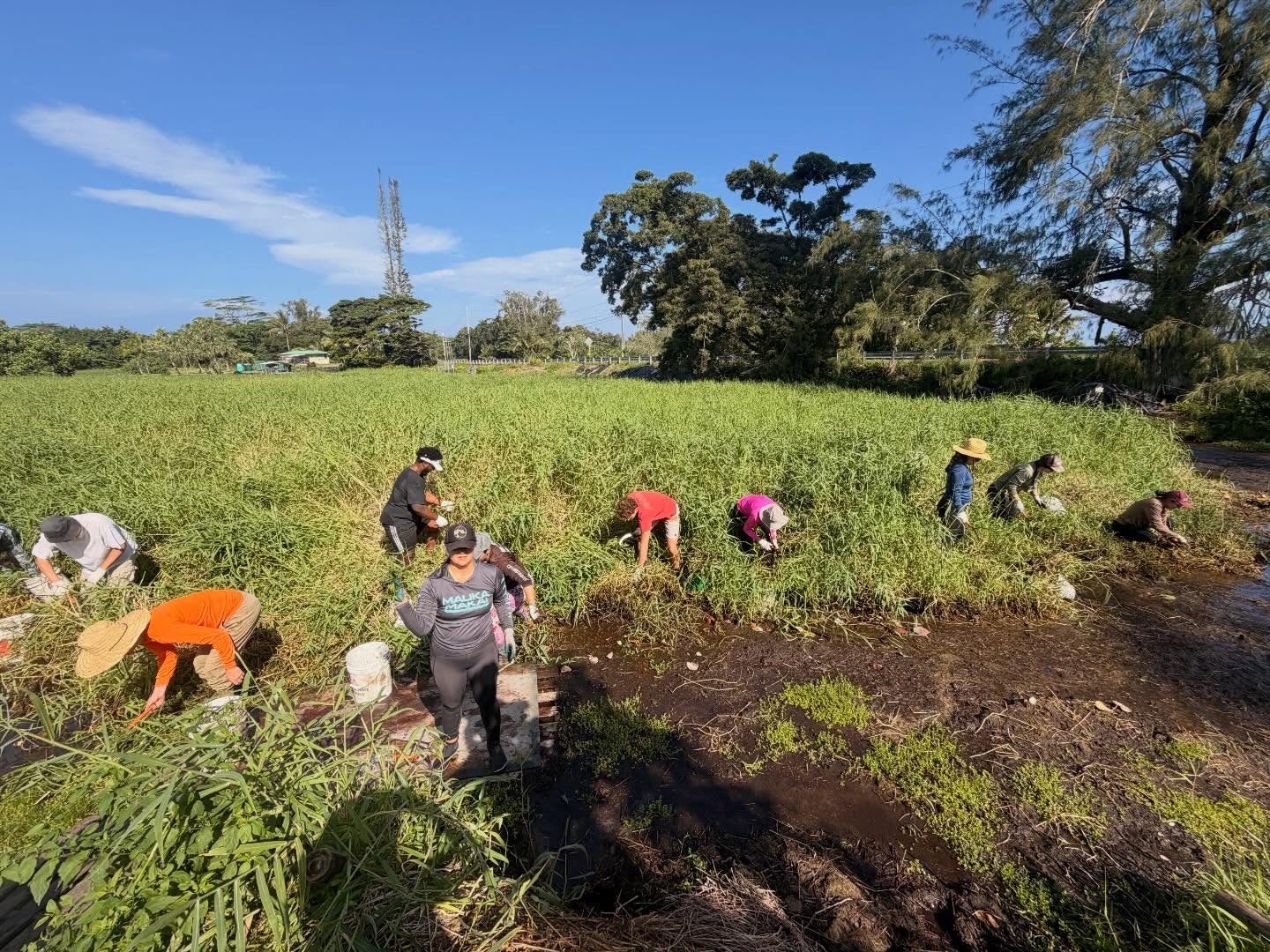 656274227_18042926996773190_5894406332830614660_n