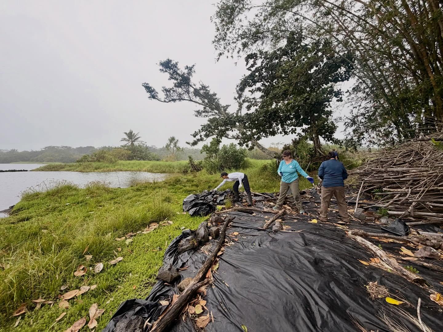 656741750_18043988648773190_5435262711685452236_n