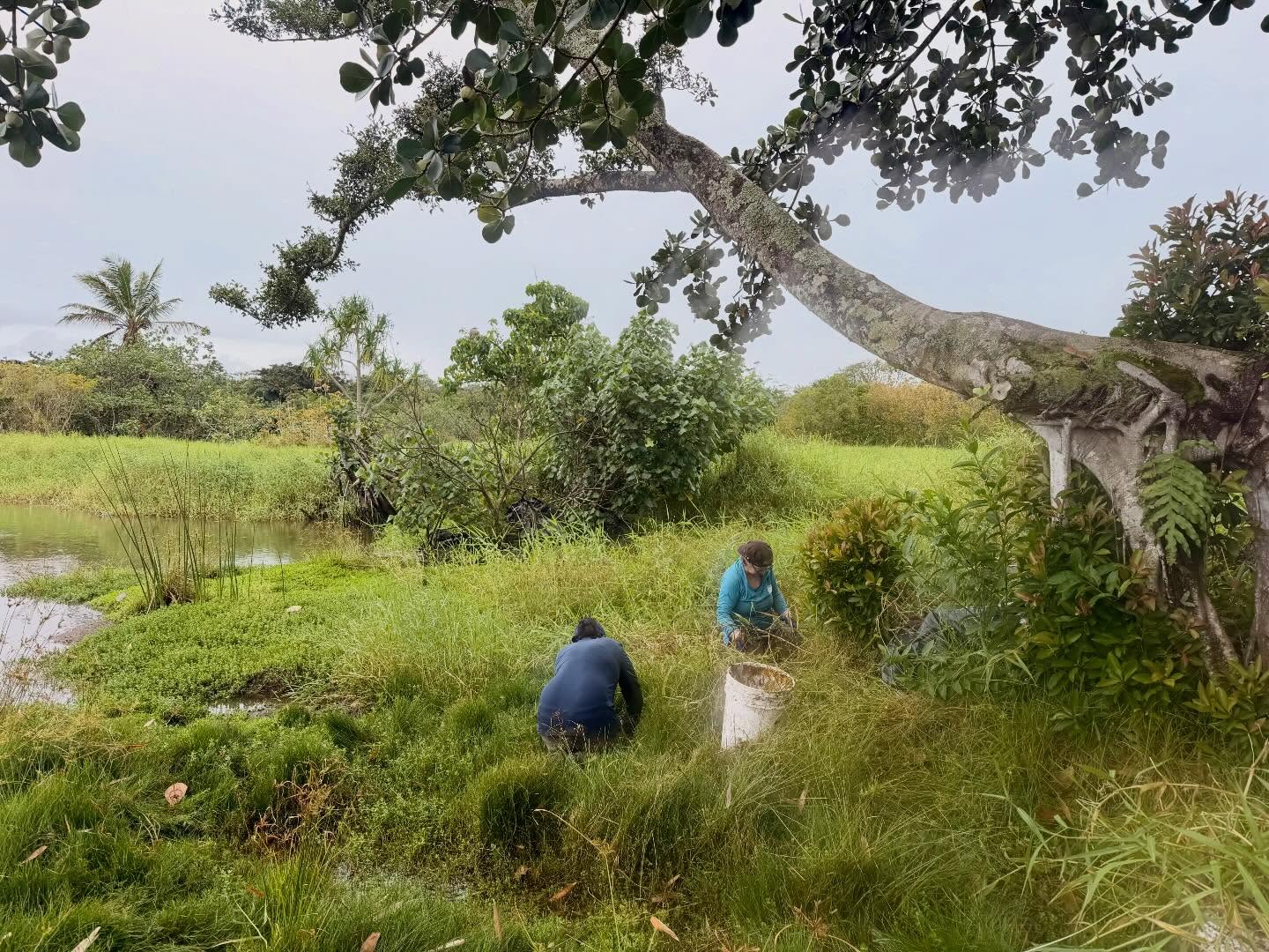 657516970_18043988738773190_1993748007931294220_n