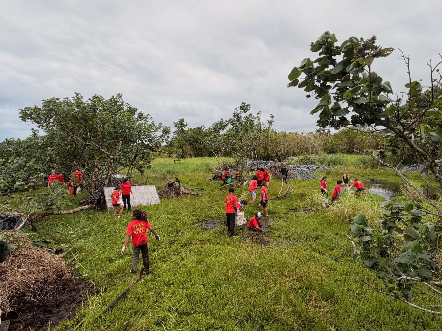 657832185_18044278664773190_5650732708773445462_n