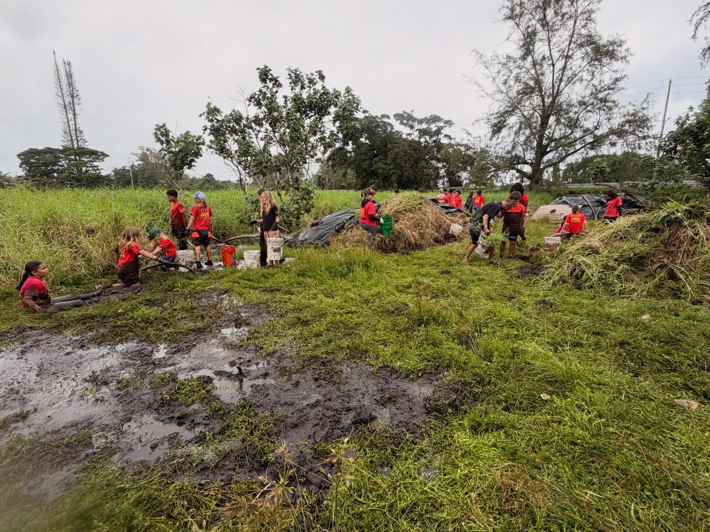 657994446_18044278691773190_2731060047563795856_n