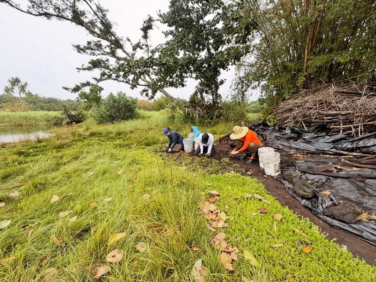 658958071_18043988729773190_4870167120120787005_n