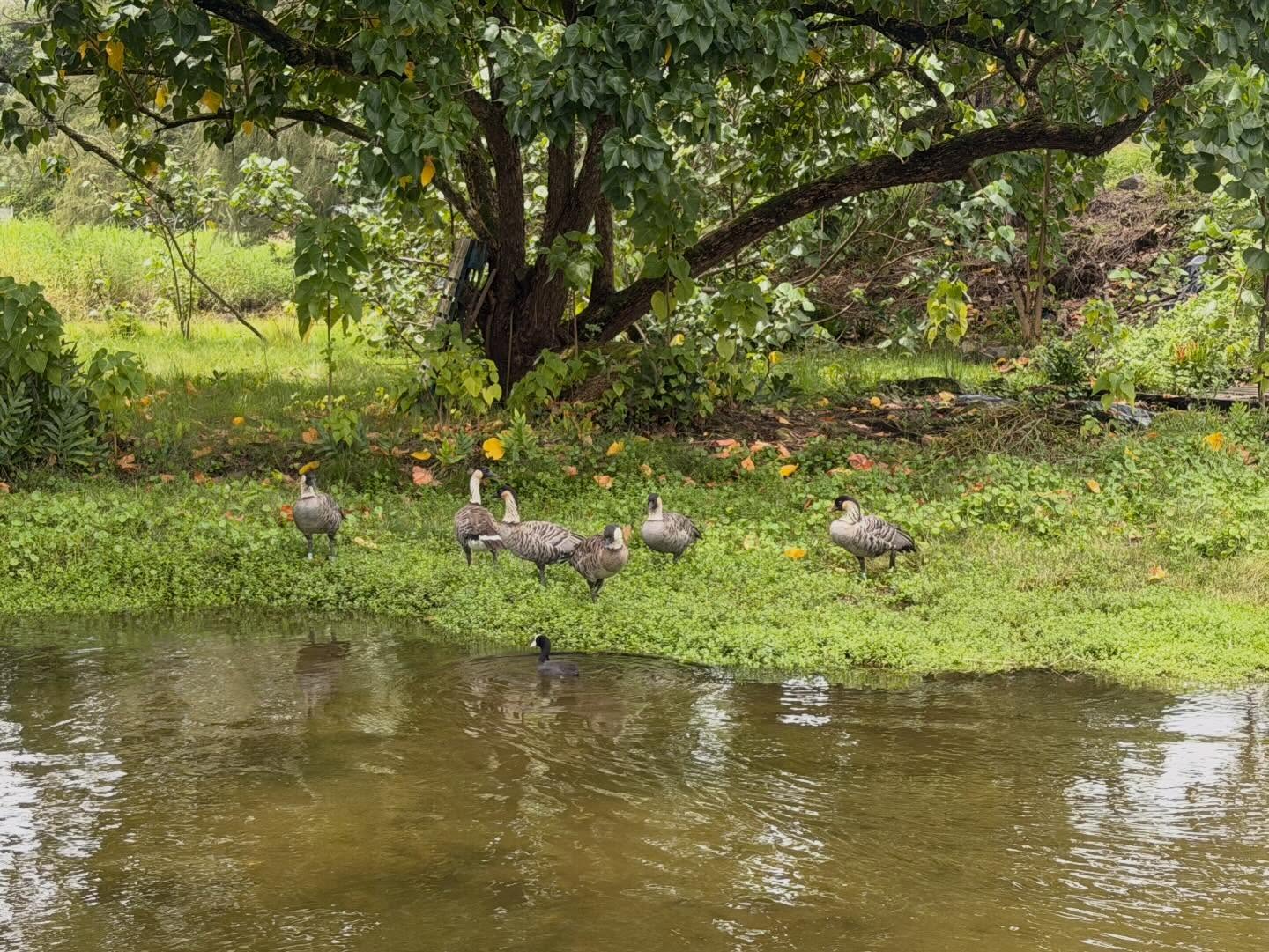 659231150_18043988768773190_5474145415673970576_n